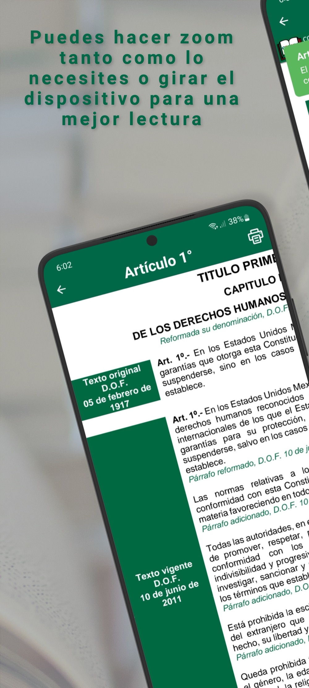 CPEUM — Capturas 4