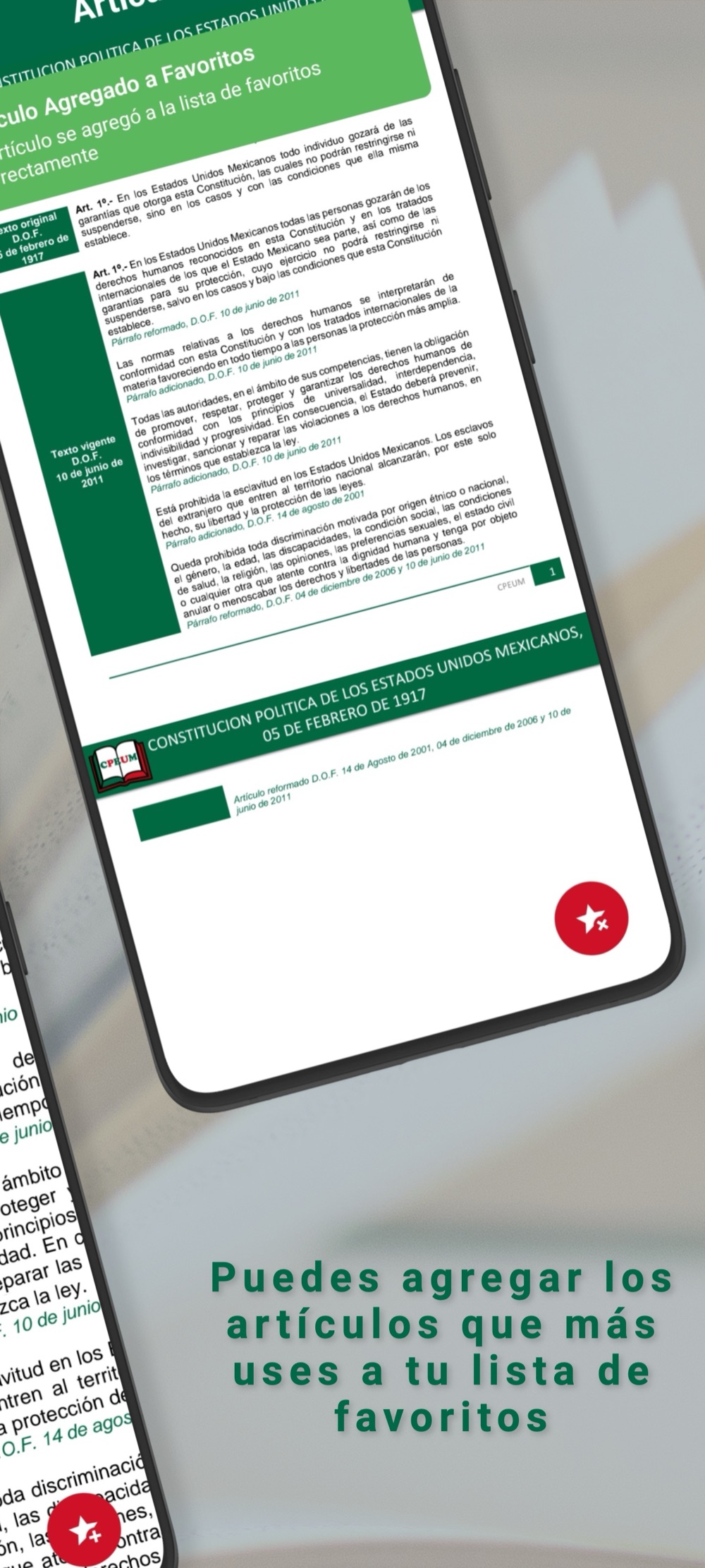 CPEUM — Capturas 5
